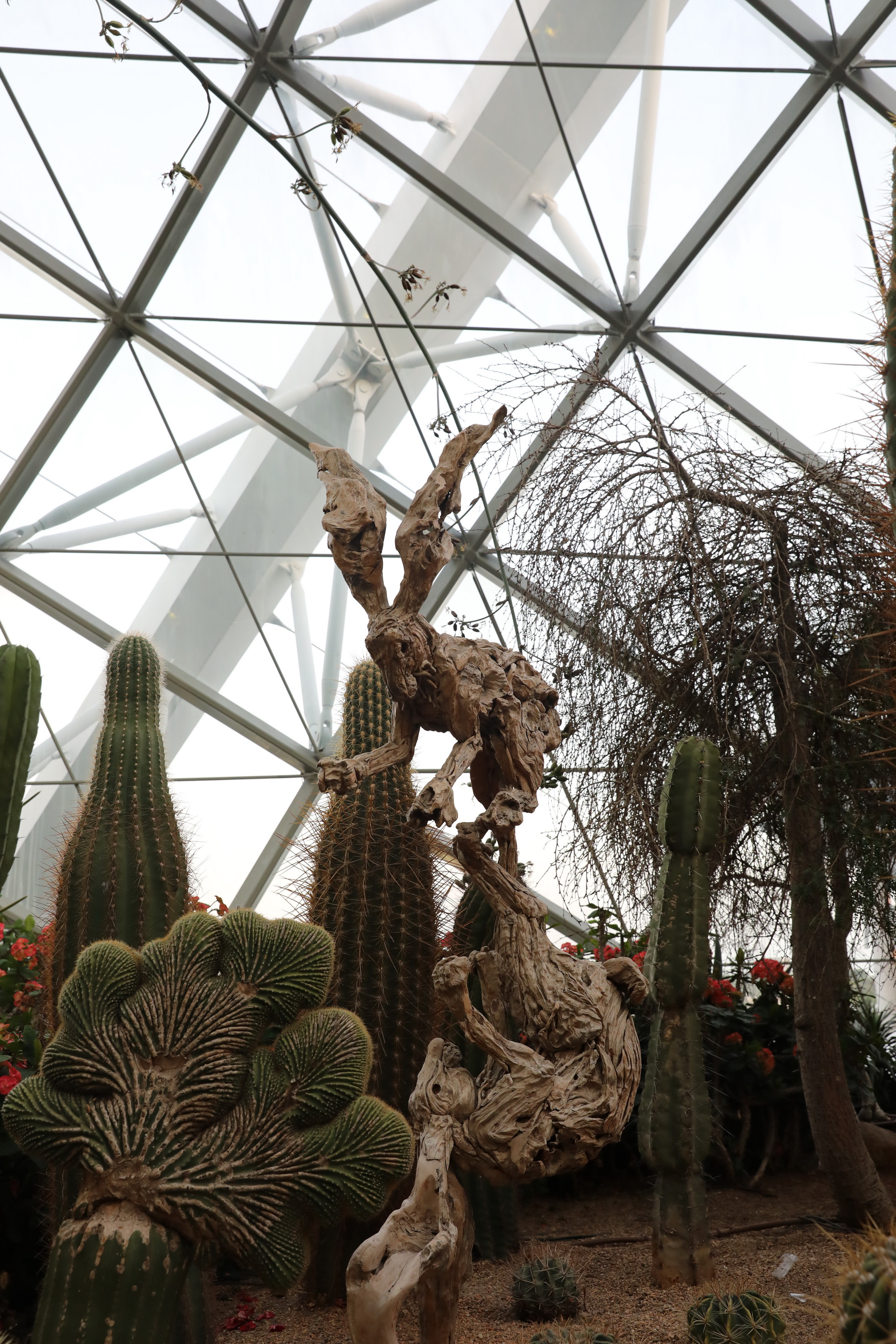 2020 02 03 19 08 02 Canon EOS 5D Mark IV 0073